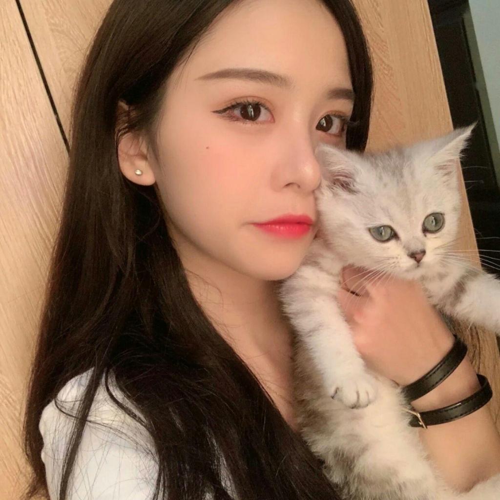 金沙集团186CC手机app下载